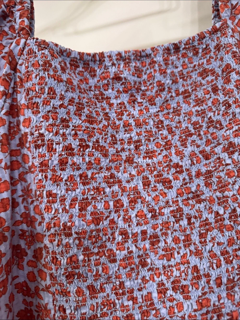 Madewell Light Blue Top with Red Floral Print and Puff Sleeves